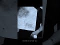 心霊現象の多発する家で見つかった母娘の写真【心霊番組ゼロ】#shorts