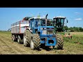 FORD TW35 GenII Raccolta pomodori / Mts Sandei THR750  - Tomato Harvest in Italy