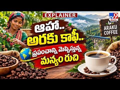 Explainer : ఆహా.. అరకు కాఫీ.. ప్రపంచాన్ని మెప్పిస్తున్న మన్యం రుచి | Araku Valley Coffee - TV9 - TV9