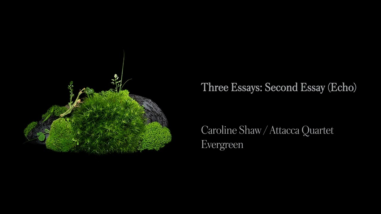 Watch Caroline Shaw & Attacca Quartet - Three Essays: Second Essay (Echo) (Official Audio) on YouTube Watch Caroline Shaw & Attacca Quartet - Three Essays: Second Essay (Echo) (Official Audio) on YouTube
