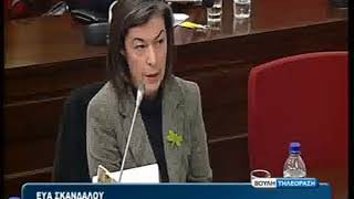 Ειδική Μόνιμη Επιτροπή Προστασίας Περιβάλλοντος 19/12/2013