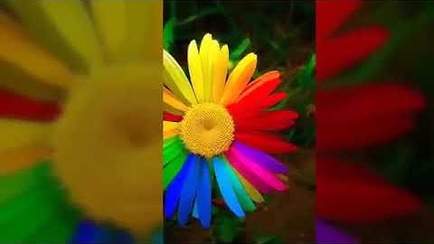 تلاوة نادرة للشيخ عبد الباسط عبد الصمد صاحب الحنجرة الذهبية بجودة عالية