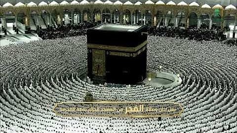 فضيلة الشّيخ  .د. الوليد بن خالد الشمسان💡| ماتيسر من سورة النساء