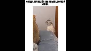 ОТБОР СМЕШНЫХ ПРИКОЛОВ 2021