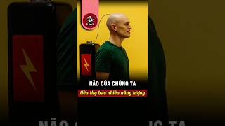 Não Ăn Bao Nhiêu Pin? SỐC NẶNG Với Con Số KHỦNG Khiếp! 💡 🧠 #shorts #kiếnsĩ