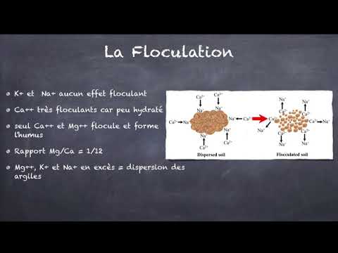 Vidéo: Que sont les carbonates du sol ?