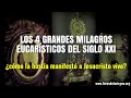 Los 4 grandes Milagros Eucarísticos del siglo XXI [¿cómo la hostia manifestó a Jesucristo vivo?]