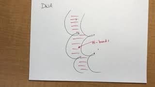 Chapter 12:2 Intermolecular Forces-2