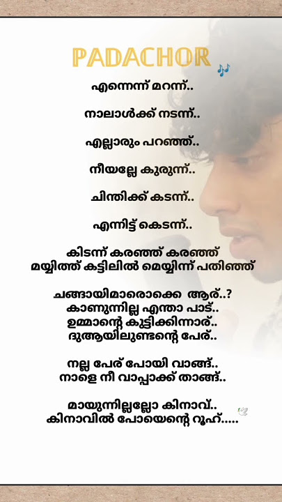 Padachor song lyrics🎶|MHR|Lil payyan #shorts #malayalamlyrics #trending