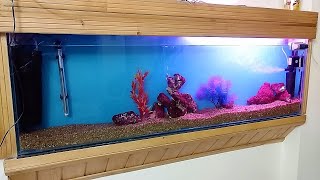 New Look of My Fish Tank || Beautiful Aquarium With Beneficial Bacteria