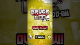 Bruce Lee joins minecraft