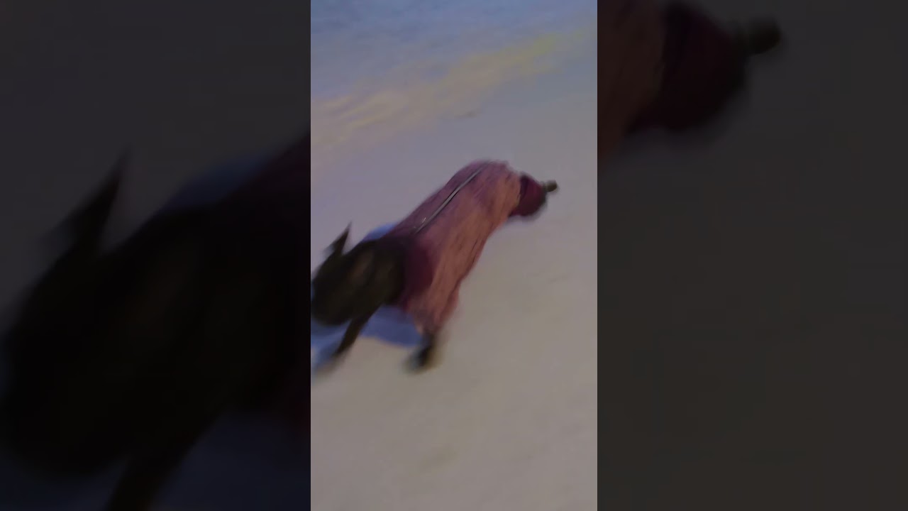 Новогодняя прогулка 