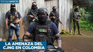 Especial 'Cártel Jalisco Nueva Generación, mafia sin fronteras' | Capítulo 10/10 - Testigo Directo