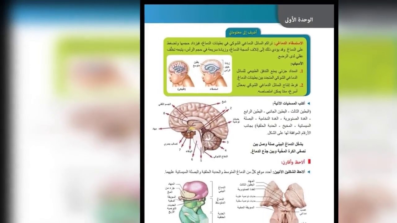 درس علوم الجهاز العصبي(3)🧠💯