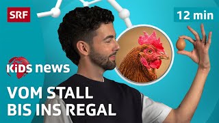 SRF Kids News: Huhn oder Ei – was war zuerst da? | Nachrichten für Kinder
