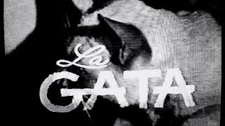 Telenovela &quot;La Gata&quot; (México, 1970) Tema musical