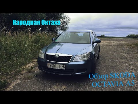 Тест драйв ŠKODA OCTAVIA А5 с овощным мотором