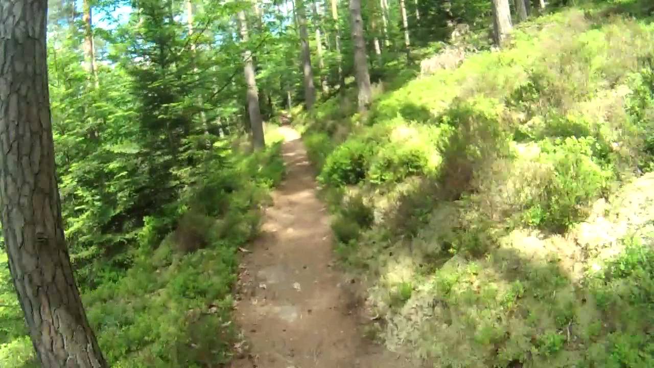 Tu Es Originaire Du Val De Villé