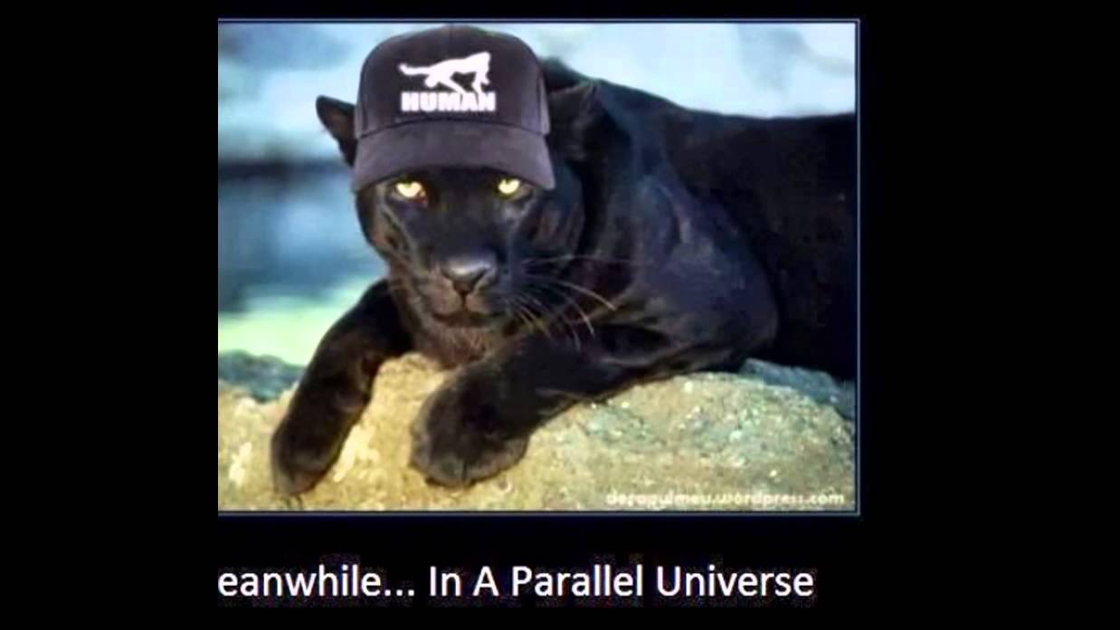 Meanwhile In A Parallel Universe YouTube