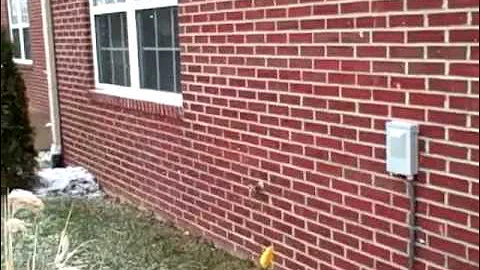 Louisville Home Inspector explains weep holes