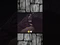 احبها ولا تلومني على حبها