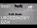 Sudecka Ostoja 9/2021. " Polowanie " na dziki z termowizją Pulsar Accolade XP50 i Trail XP50 LRF