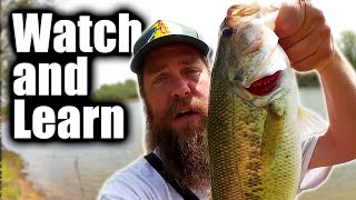How To Fish a Texas Rig From the Bank (Beginner Bass Fishing Tips)