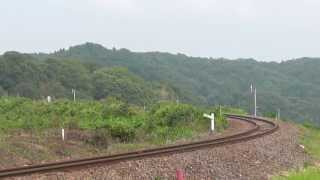 20130730 336D 烏山線キハ40 やまあげ祭特別編成