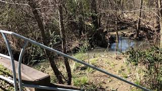 Frisco Commons Park
