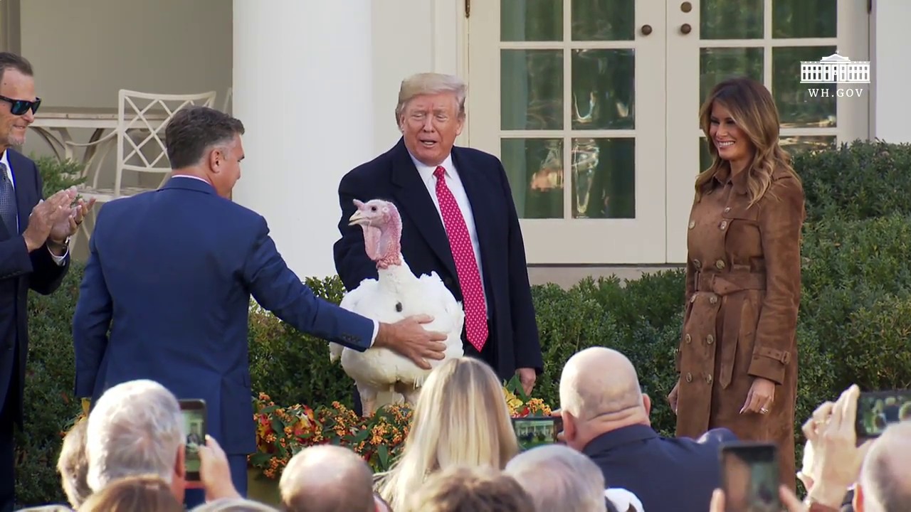 President Trump and The First Lady Present the National Thanksgiving Turkey President Trump and The First Lady Present the National Thanksgiving Turkey