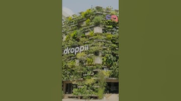 The Architect Who Builds in Harmony With Nature