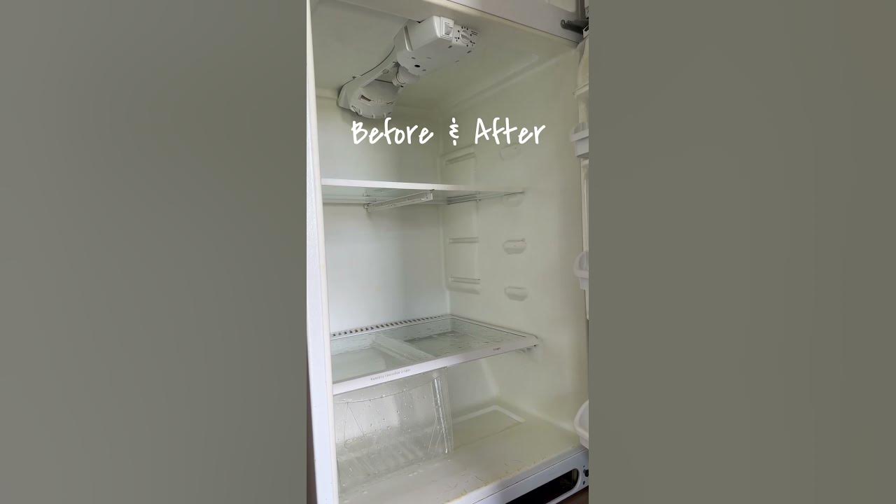 Nasty Refrigerator Before and After Cleaning Lane Cleaning Services