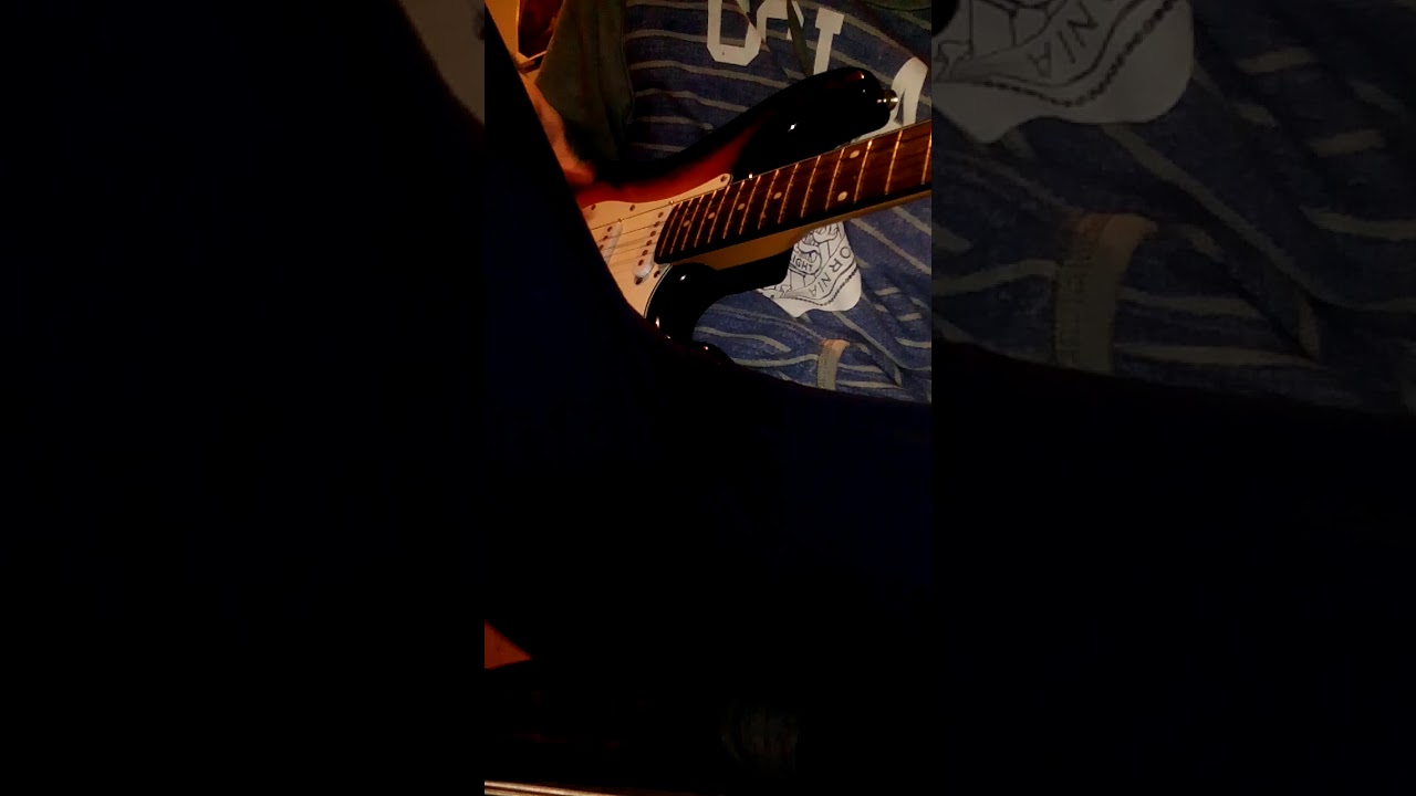 Nedopustivo - Svakidasnja Fisharmonika