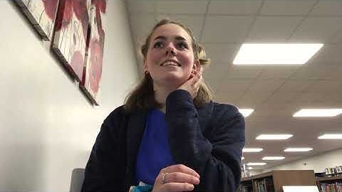 Mock FAKE NOT REAL “Interview” for Domino