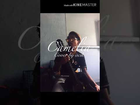 CEK SOUND COLAK COLEK AUDIO CLEAN CLARITY