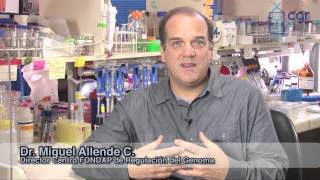 ORESTIAS CRG MASTER YOUTUBE HD