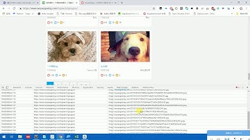 利用Web Scraper 插件抓数据讲座（2）