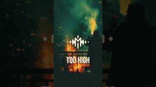 TOO HIGH: Luxury Soul Beat 🎹 KRS-ONE Producer #shorts #griselda #boombap #realhiphop #soulful