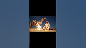 Enchanting Echoes of the Oud: A Mystical Journey Through Arabic Instrumental Bliss