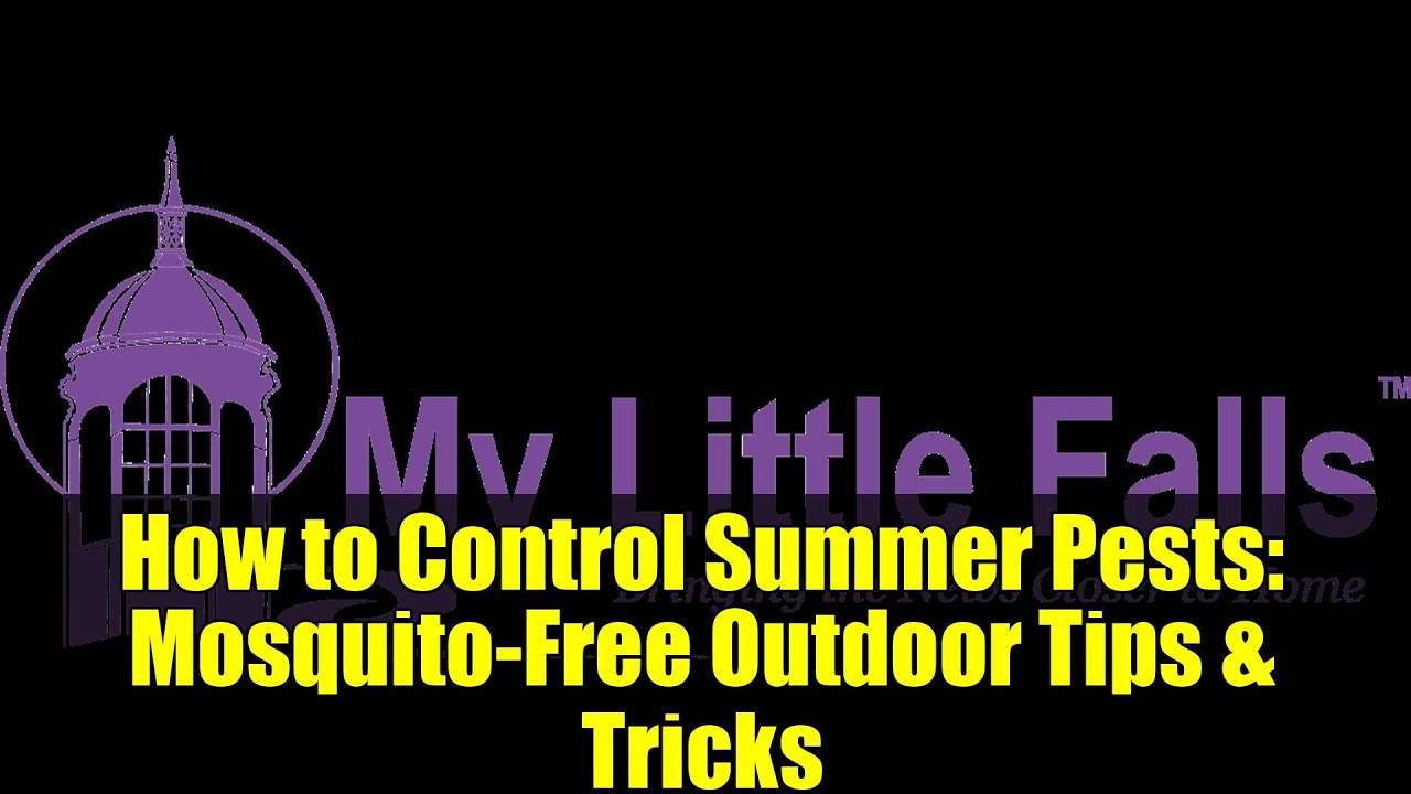 How to Control Summer Pests: Mosquito-Free Outdoor Tips & Tricks