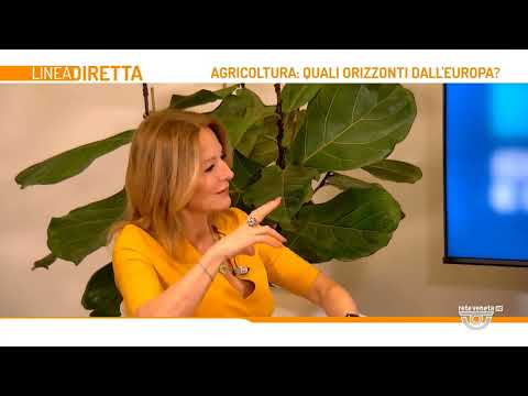 LINEA DIRETTA | 03/04/2024