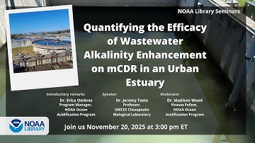 Quantifying the Efficacy of Wastewater Alkalinity Enhancement on mCDR in an Urban Estuary