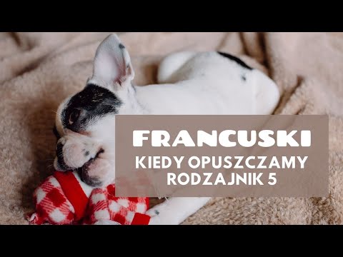 KURS FRANCUSKIE RODZAJNIKI. KIEDY OPUSZCZAMY RODZAJNIK  ODC 5 RODZAJNIK PRZED NAZWAMI DNI TYGODNIA