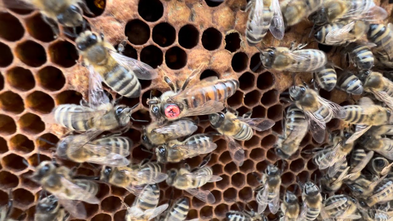 HDR 4-3. Pierwsze straty z zimowli