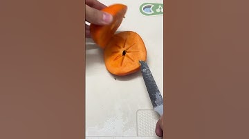 GI599900 mini rotary tillage and ridging all-in one tree 🌲 short view#subscribe