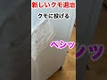 妻も大絶賛!クモはこうやって退治する! #shorts #蜘蛛 #クモ