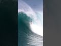 JAWS ALL TIME BODYSURFING BARREL KALANI LATTANZI Shorts
