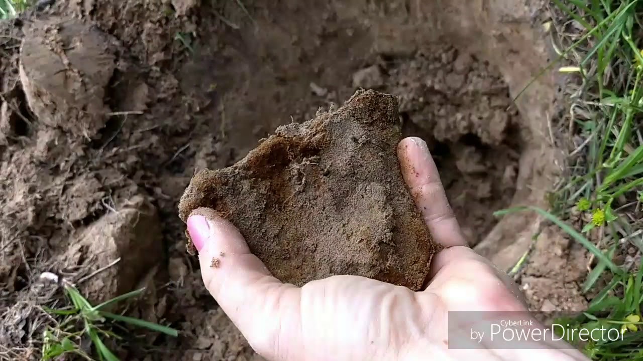 Digging Spring. YouTube