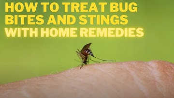 How to Care for Your Child with Bug Bites or Stings: Home Remedies That Work!