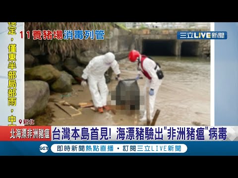 台灣本島首見!新北萬里龜吼漁港驚見"非洲豬瘟"漂流病死豬 附近豬場緊急送檢驗 農委會主委陳吉仲:非洲豬瘟危害程度比口蹄疫更嚴重!│記者陳宥蓉 黃昕晟 │【LIVE大現場】2